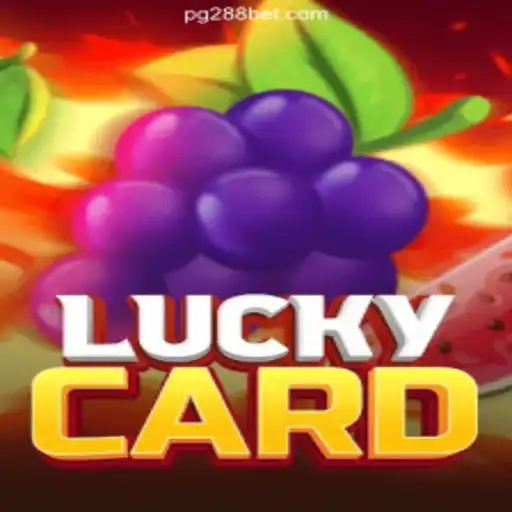 Exploring LuckyCard: A Thrilling Card Game Experience