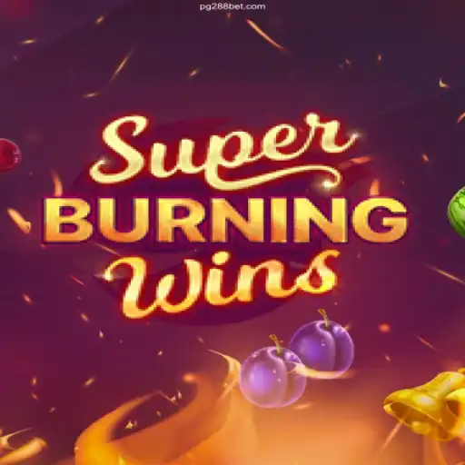 Experience the Thrills of SuperBurningWins